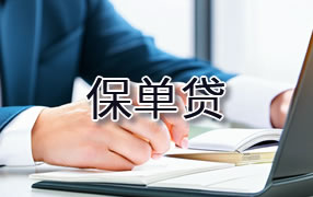 襄樊保单贷