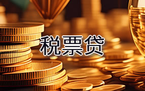 襄樊税票贷